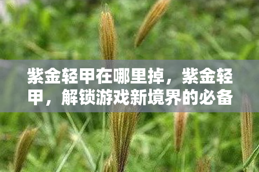 紫金轻甲在哪里掉，紫金轻甲，解锁游戏新境界的必备神器