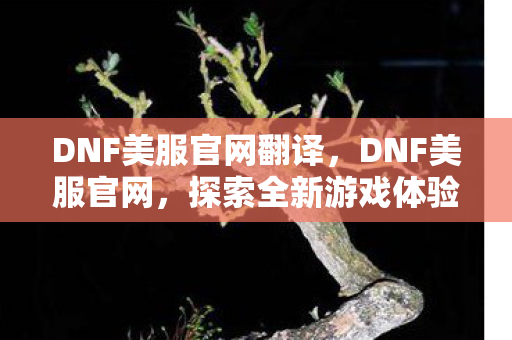 DNF美服官网翻译，DNF美服官网，探索全新游戏体验