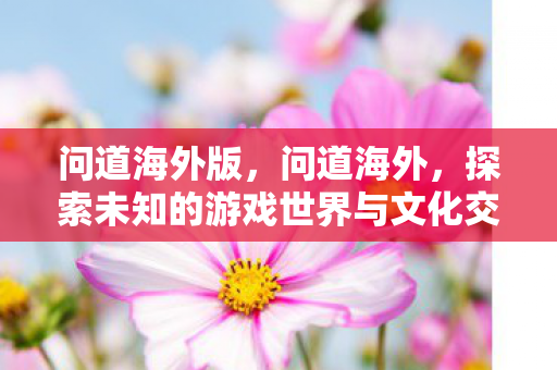 问道海外版，问道海外，探索未知的游戏世界与文化交流