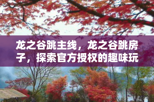 龙之谷跳主线，龙之谷跳房子，探索官方授权的趣味玩法