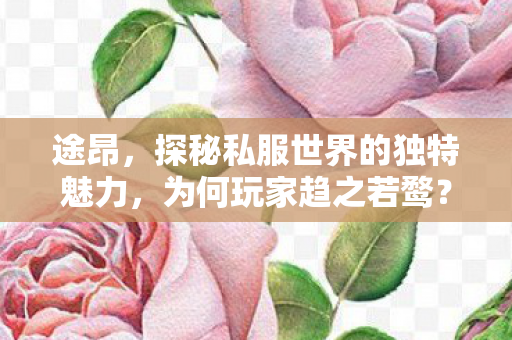 途昂，探秘私服世界的独特魅力，为何玩家趋之若鹜？
