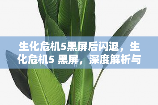 生化危机5黑屏后闪退，生化危机5 黑屏，深度解析与解决方案