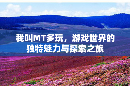 我叫MT多玩，游戏世界的独特魅力与探索之旅