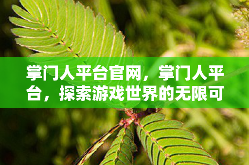 掌门人平台官网，掌门人平台，探索游戏世界的无限可能