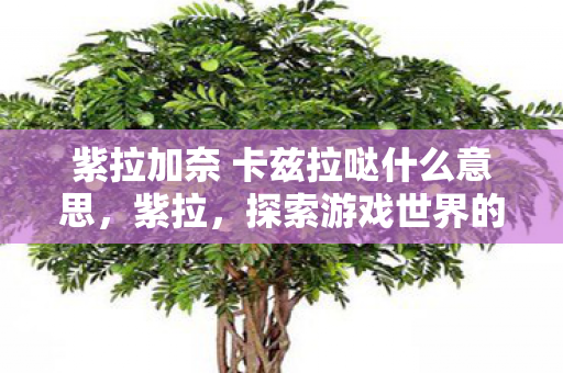 紫拉加奈 卡兹拉哒什么意思，紫拉，探索游戏世界的无限可能