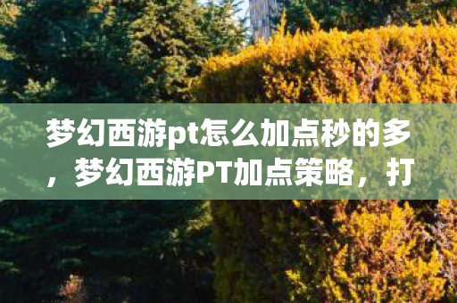 梦幻西游pt怎么加点秒的多，梦幻西游PT加点策略，打造高效辅助角色
