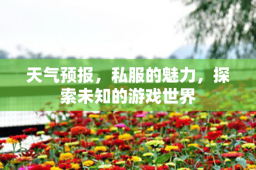 天气预报，私服的魅力，探索未知的游戏世界