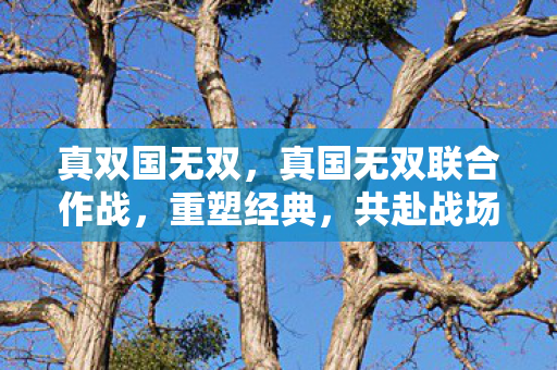 真双国无双，真国无双联合作战，重塑经典，共赴战场