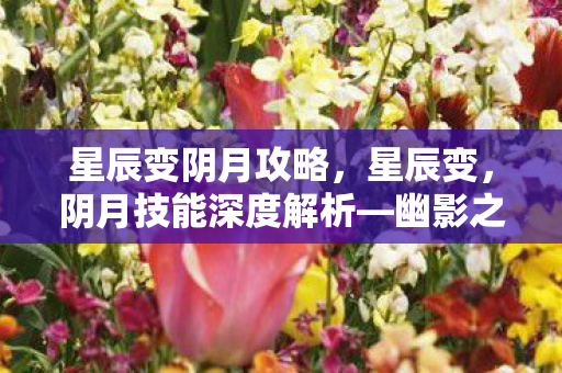 星辰变阴月攻略，星辰变，阴月技能深度解析—幽影之月的奥秘