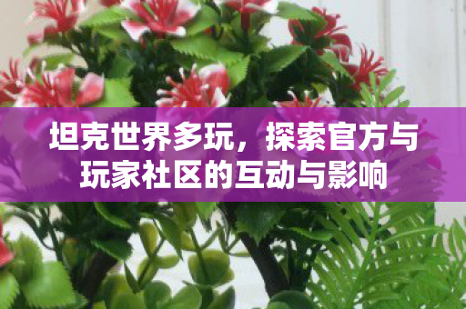 坦克世界多玩，探索官方与玩家社区的互动与影响