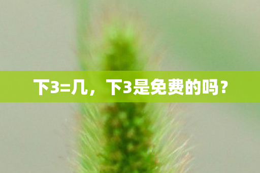 下3=几,下3是免费的吗? 下3=几,下3是免费的吗?