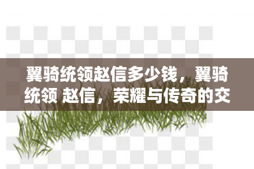 翼骑统领赵信多少钱，翼骑统领 赵信，荣耀与传奇的交织