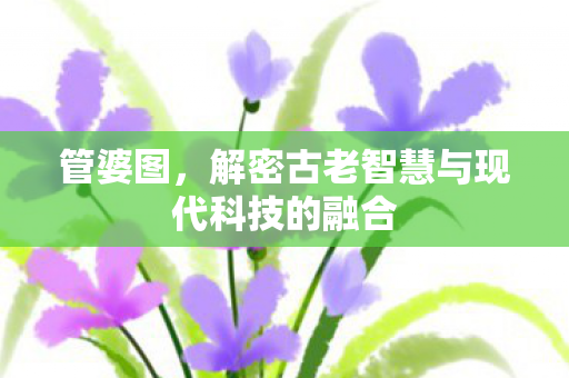 管婆图，解密古老智慧与现代科技的融合