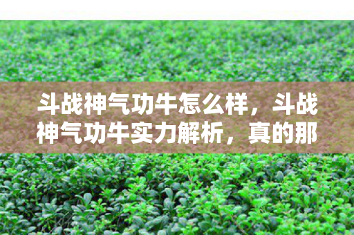斗战神气功牛怎么样，斗战神气功牛实力解析，真的那么厉害吗？