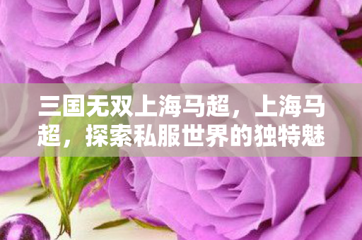 三国无双上海马超，上海马超，探索私服世界的独特魅力