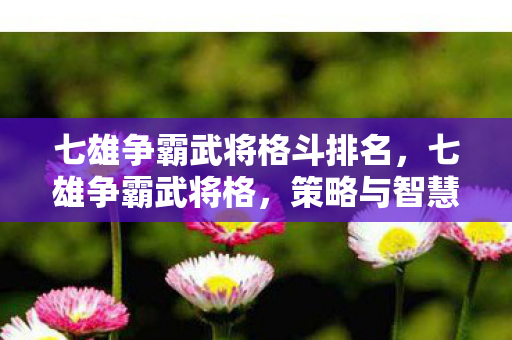 七雄争霸武将格斗排名，七雄争霸武将格，策略与智慧的碰撞
