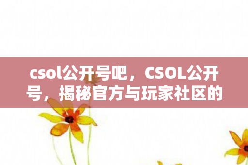 csol公开号吧，CSOL公开号，揭秘官方与玩家社区的互动桥梁