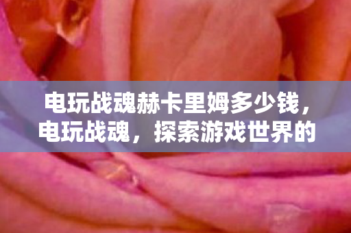 电玩战魂赫卡里姆多少钱，电玩战魂，探索游戏世界的无限可能