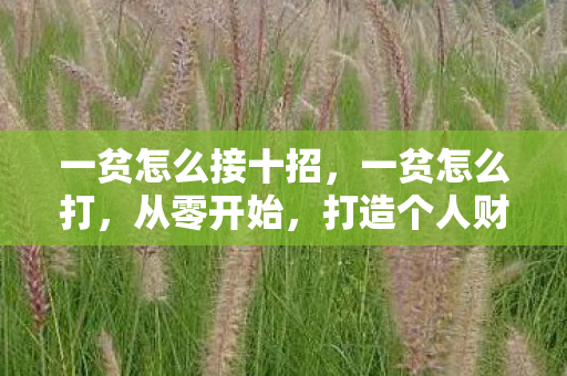一贫怎么接十招,一贫怎么打,从零开始,打造个人财富之路 一贫怎么接十招,一贫怎么打,从零开始,打造个人财富之路