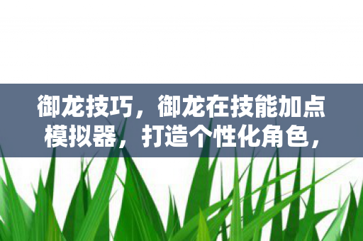 御龙技巧，御龙在技能加点模拟器，打造个性化角色，尽享无限可能