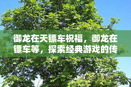 御龙在天镖车祝福，御龙在镖车等，探索经典游戏的传承与创新