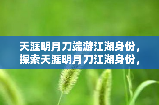 天涯明月刀端游江湖身份，探索天涯明月刀江湖身份，从平凡到传奇的蜕变