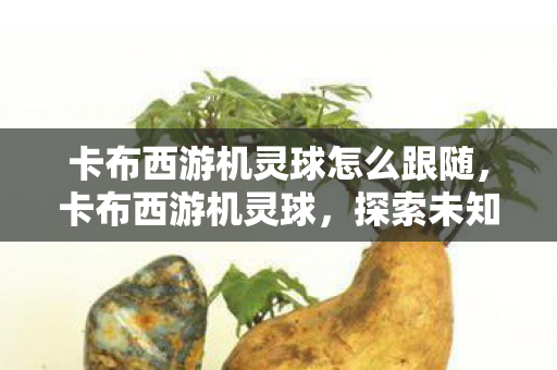 卡布西游机灵球怎么跟随，卡布西游机灵球，探索未知世界的奇妙旅程