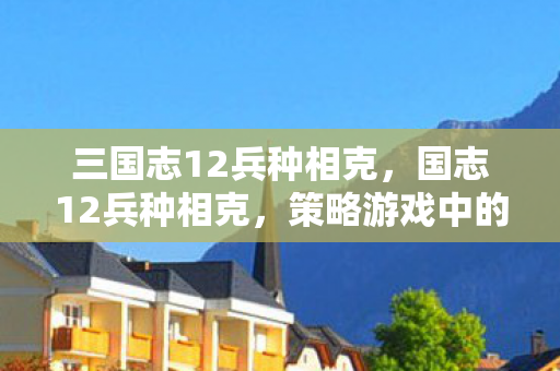 三国志12兵种相克，国志12兵种相克，策略游戏中的智慧博弈