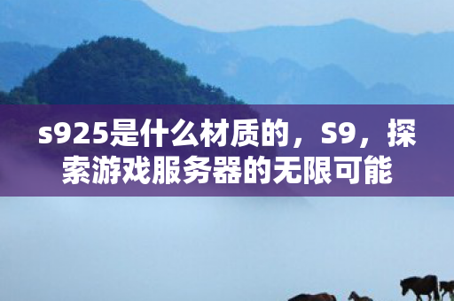 s925是什么材质的，S9，探索游戏服务器的无限可能