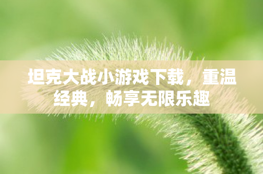 坦克大战小游戏下载，重温经典，畅享无限乐趣