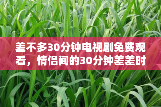 差不多30分钟电视剧免费观看，情侣间的30分钟差差时光，探索情感与亲密的微妙平衡