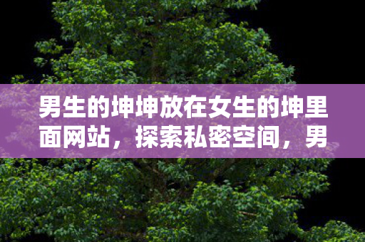 男生的坤坤放在女生的坤里面网站，探索私密空间，男生与女生之间的独特情感纽带