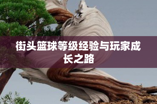 街头篮球等级经验与玩家成长之路