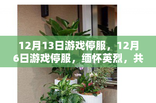 12月13日游戏停服，12月6日游戏停服，缅怀英烈，共筑和平