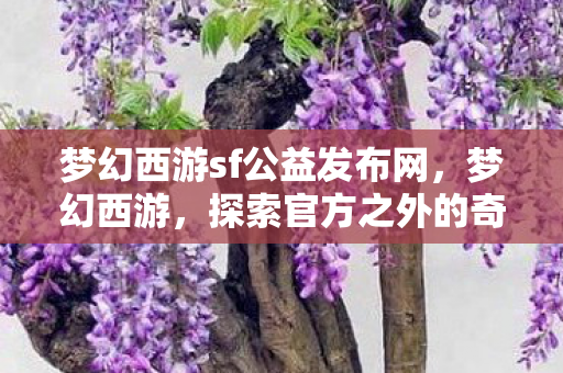梦幻西游sf公益发布网，梦幻西游，探索官方之外的奇妙世界