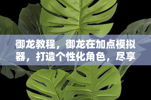 御龙教程，御龙在加点模拟器，打造个性化角色，尽享无限可能