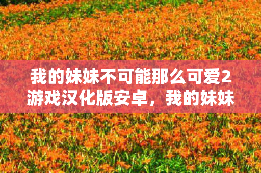 我的妹妹不可能那么可爱2游戏汉化版安卓，我的妹妹不可能那么可爱2