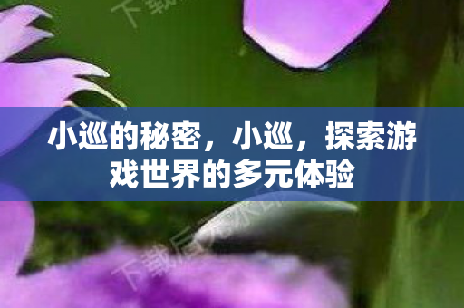 小巡的秘密，小巡，探索游戏世界的多元体验