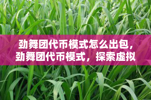 劲舞团代币模式怎么出包，劲舞团代币模式，探索虚拟经济的奇妙之旅