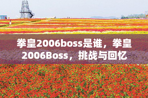 拳皇2006boss是谁，拳皇2006Boss，挑战与回忆