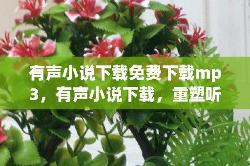 有声小说下载免费下载mp3，有声小说下载，重塑听书新体验