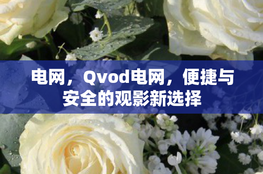 电网，Qvod电网，便捷与安全的观影新选择
