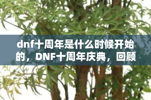 dnf十周年是什么时候开始的,DNF十周年庆典,回顾与期待 dnf十周年是什么时候开始的,DNF十周年庆典,回顾与期待