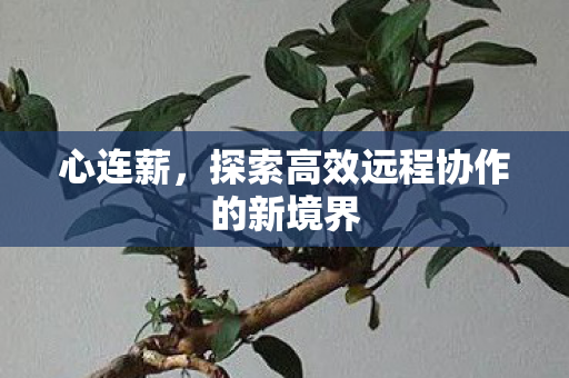心连薪,探索高效远程协作的新境界 心连薪,探索高效远程协作的新境界