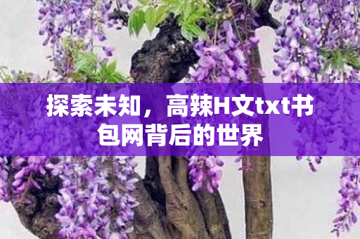 探索未知,高辣H文txt书包网背后的世界 探索未知,高辣H文txt书包网背后的世界
