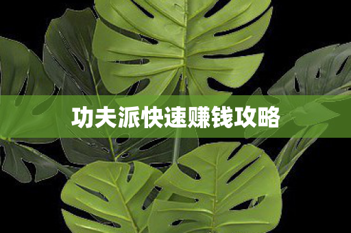 功夫派快速赚钱攻略