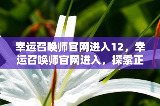 幸运召唤师官网进入12,幸运召唤师官网进入,探索正版游戏的魅力 幸运召唤师官网进入12,幸运召唤师官网进入,探索正版游戏的魅力