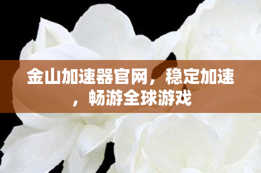 金山加速器官网,稳定加速,畅游全球游戏 金山加速器官网,稳定加速,畅游全球游戏