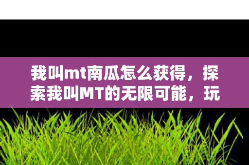我叫mt南瓜怎么获得,探索我叫MT的无限可能,玩家自制内容与社区生态的繁荣 我叫mt南瓜怎么获得,探索我叫MT的无限可能,玩家自制内容与社区生态的繁荣