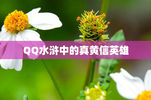 QQ水浒中的真黄信英雄